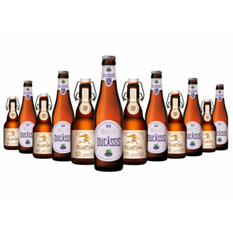 BOX DECOUVERTE BIO BRASSERIE DES LEGENDES 6*2 0.33L