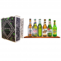 DISCOVERY BEER BOOK MONDE 6*33CL
