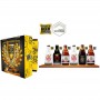 COFFRET BRASSERIE VAN STEENBERGE 6 BIERES PRIMEES WORLD BEER AWARDS