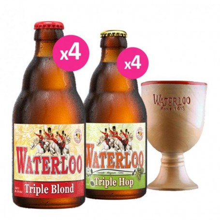 BOX DECOUVERTE WATERLOO - 2*4*33CL + 1 VERRE