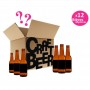 BOX MYSTERE 12 BIERES A DECOUVRIR