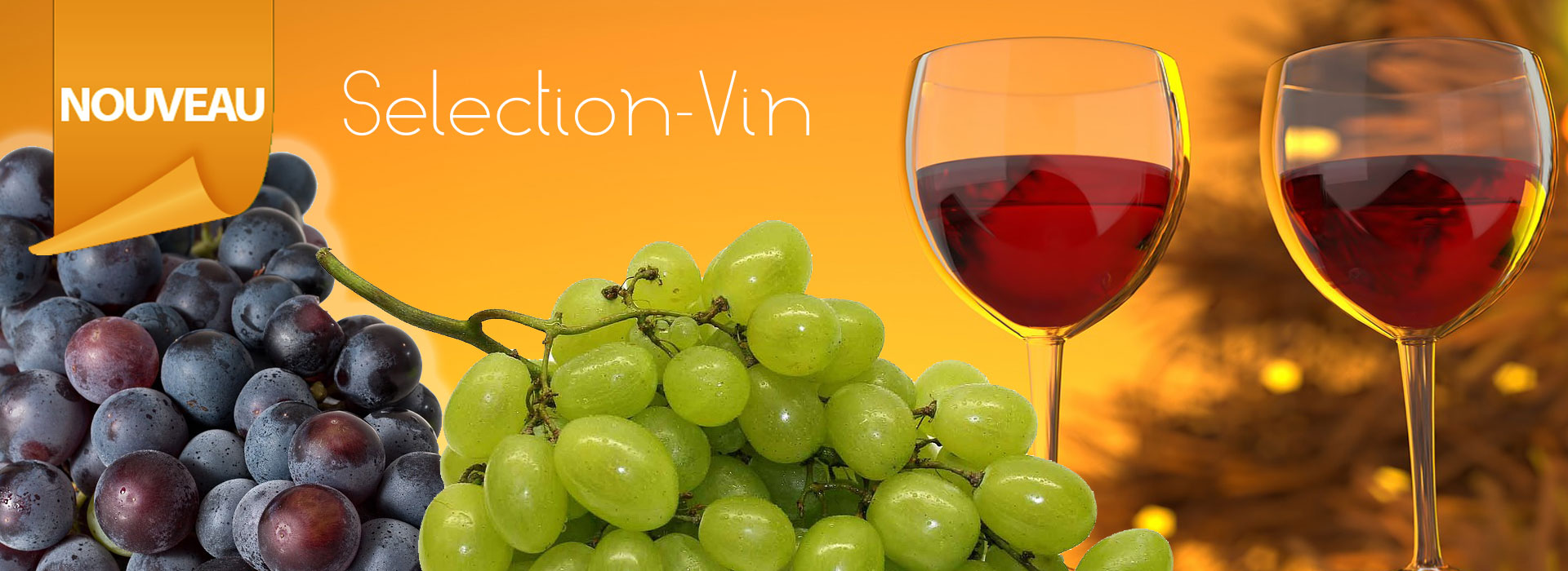 Vin Vin